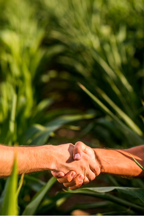 Consórcio Maquinário Agrícola